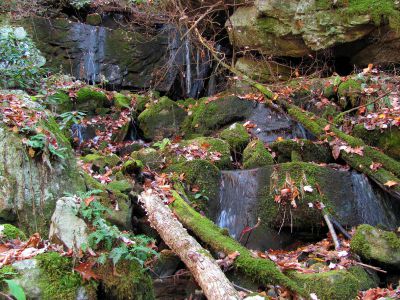 Sulphur Spring Branch Falls (lower)
Lower falls.

