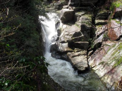 Taken April 3, 2012
