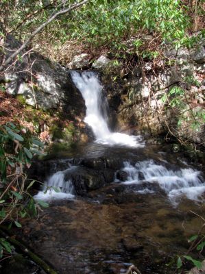 Second set of falls found even higher above the Lower Higgins Creek Falls - taken Feb. 3, 2012
