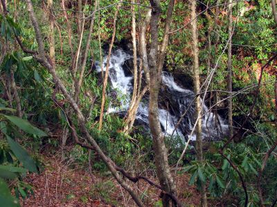 First set of falls found well above the Lower Higgins Creek Falls (as seen from the trail above) - taken Feb. 3, 2012
