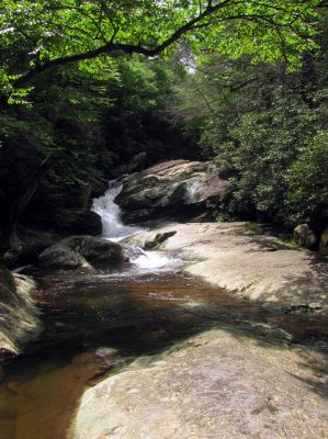 Lower Upper Creek Falls - Taken 8-9-2012
