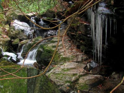Small falls in the upper most region of Dick Creek - Taken 11-22-2014
