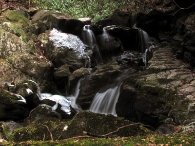 Small falls in the upper most region of Dick Creek - Taken 11-22-2014
