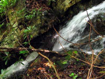 Taken April 25, 2012
