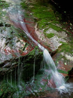 Whetstone Branch Falls (Upper)
Taken 6-25-2011
