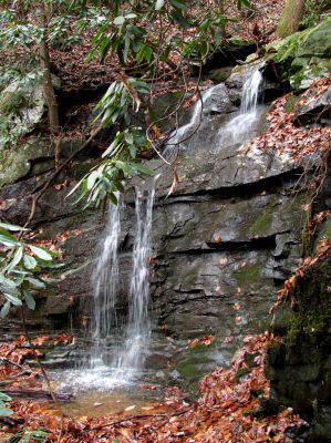 Taken 11-29-2010
